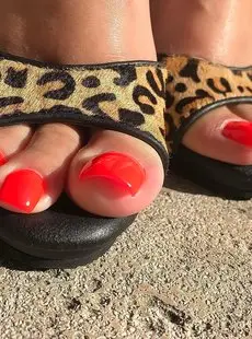 SexyLena New Mules From My Fan 18x