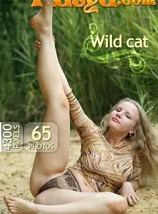 EroKatya Katya Wild Cat x65 4368px 50714126