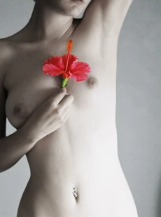 Ftvgirls Melissa Artistic Nudes 1600