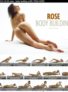 Hegre Quality 20141003 rose body building x56 7500x10000