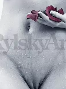 Rylskyart 2014 08 04 Petals Vol5 Alysha