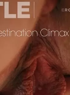 Destination Climax Areana Fox By Higinio Domingo
