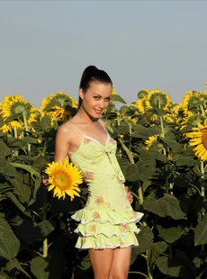 MPLStudios 2011-09-14 Marta AGE-22 BREAST-Small SET-3185-Flowers-in-the-Field Ukraine