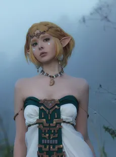 Vinnegal - Zelda