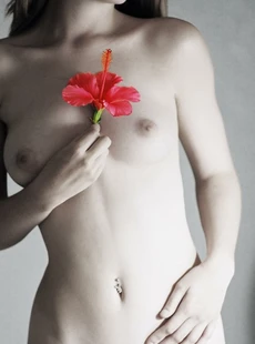 Ftvgirls Melissa Artistic Nudes 1600