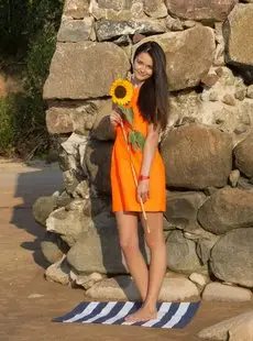 AmourAngels 2015 sunny flower