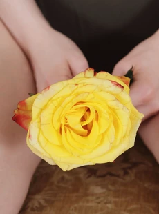 Errotica Archives 180214 Jia Lissa Yellow Rose x60