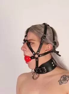 BeltBound Nora Sparkle The 5Point Harness Gag