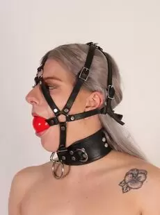 BeltBound Nora Sparkle The 5Point Harness Gag