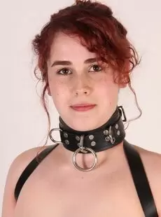 BeltBound Rosaly Strapped Elbows And A 2 Inch Ring Gag