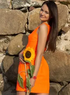 AmourAngels 2015 sunny flower