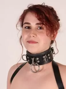 BeltBound Rosaly Strapped Elbows And A 2 Inch Ring Gag