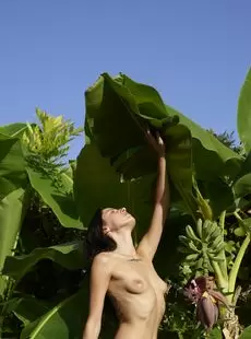 Hegre Oksi Jungle Nudes