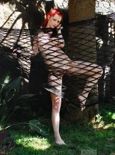 AB   Ariel   Hammock   57 pics at 3872 pixels