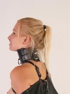 BeltBound Arienh Extreme Posture Collar