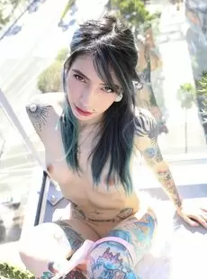 Wolf Photo Album Such Great Heights Suicidegirls