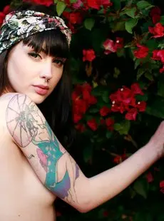 Suicide Girls Arwen Sugarbird