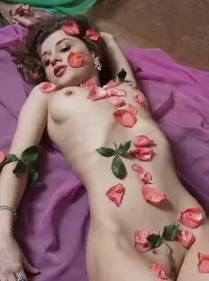 Zemani Nikola Petals Of Roses X114