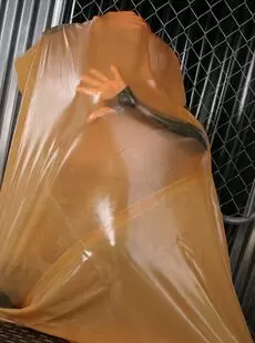 latex 011221 0051