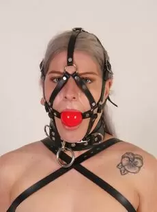 BeltBound Nora Sparkle The 5Point Harness Gag
