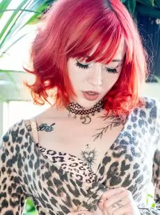 Evaray Photo Album Wild At Home Suicidegirls