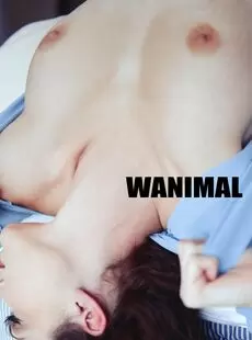 Wanimal 2017 01 Official101Pics