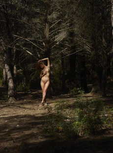 Hegre Quality 20160715 Julia Woman In The Woods x47 10000px