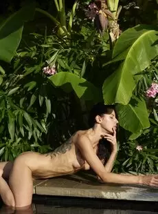 Hegre Oksi Jungle Nudes