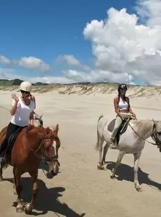 InTheCrack Set 669 New Zealand Holiday BTS