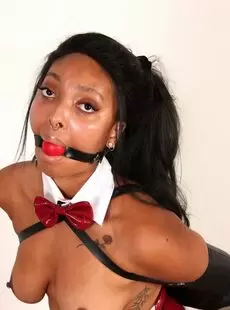 BeltBound Thiccy Niccy Bunny Bondage